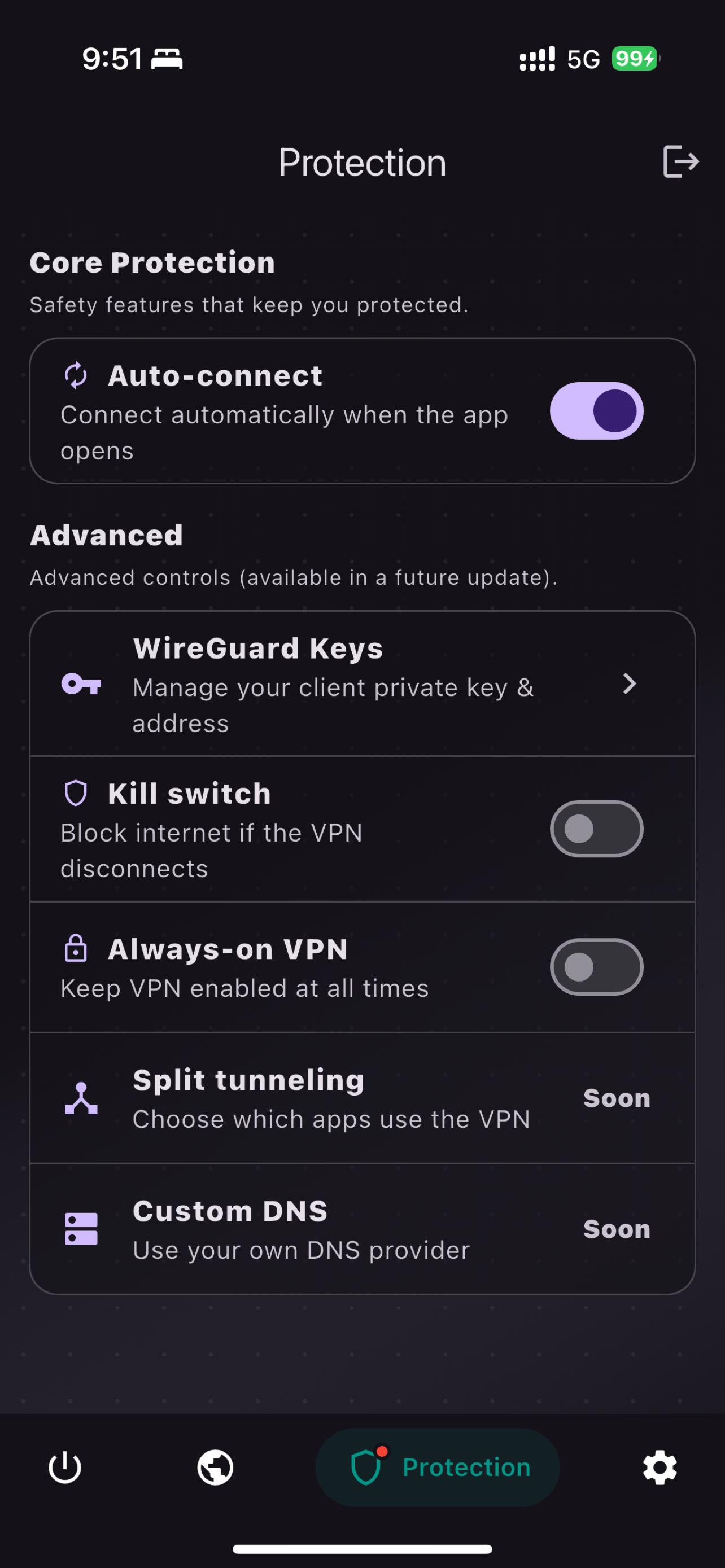 Protection screen in OwletVPN